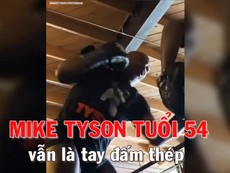 Mike Tyson tuổi 54 vẫn là võ sĩ thép