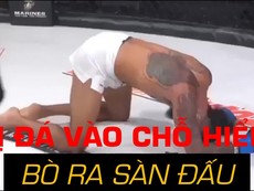 Bò quanh võ đài sau khi bị đối thủ đá vào chỗ hiểm
