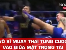 Võ sĩ Trung Quốc tung cước hạ gục... trọng tài