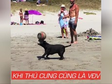 Khi thú cưng cũng là vận động viên