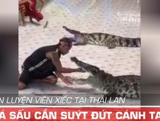 HLV xiếc Thái Lan bị cá sấu cắn suýt đứt cánh tay