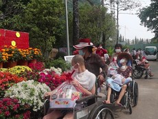 Sắc màu mùa xuân nở rộ trong BV Phục hồi chức năng - Điều trị bệnh nghề nghiệp