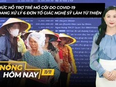 Nóng hôm nay: Đang xử lý 6 đơn tố giác nghệ sỹ làm từ thiện