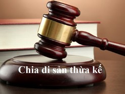 Bị mẹ kiện ra tòa, con trai phản tố đòi chia thừa kế