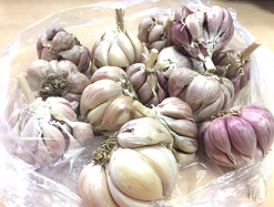 7 thói quen phổ biến này có thể gây hại cho sức khỏe đường ruột