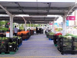 Một siêu thị đem rau Đà Lạt ra bãi xe bán với giá rẻ cực sốc