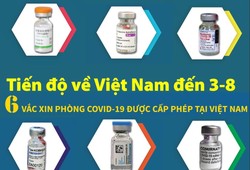 Tiến độ 6 loại vaccine Việt Nam cấp phép đã về được bao nhiêu?