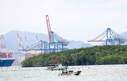 Đề xuất làm cảng Sài Gòn lớn ngang cảng Singapore, Hong Kong