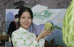 Cận cảnh trái na 'khổng lồ', dân Hà Nội đổ xô mua