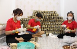 Bạn trẻ TP.HCM làm muối mè gửi đến tâm dịch Bắc Giang
