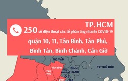 250 số điện thoại Tổ phản ứng nhanh quận 10, 11, Tân Bình, Tân Phú, Bình Tân...