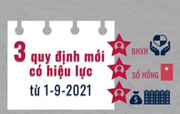 3 quy định mới có hiệu lực từ 1-9: Thêm lợi ích BHXH, mức bồi thường chung cư cũ