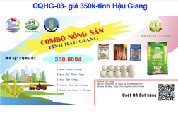 Video: 3 cách để người dân TP.HCM mua combo hàng thiết yếu qua online