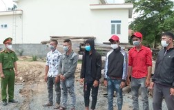 Video: Phát hiện các vụ khai thác, vận chuyển gỗ trái phép 