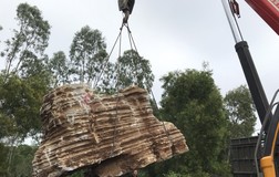 Vụ 60 tấn đá: Hai bên đổ lỗi cho nhau