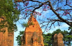 Ngắm Tháp Bà Ponagar ngày mở cửa đón khách trở lại