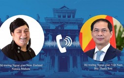 Việt Nam đề nghị New Zealand tiếp tục hỗ trợ vaccine và các thiết bị y tế