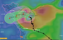 24 giờ tới, bão số 7 đi vào Vịnh Bắc bộ
