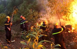 Cháy rừng bùng phát trở lại ở Nghệ An