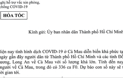 Cà Mau đề nghị TP.HCM hỗ trợ 200.000 liều vắc xin AstraZenneca hoặc Pfizer