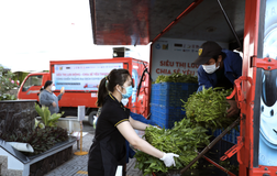 Gói rau củ 6,5 ký chỉ 50.000 đồng xuất hiện ở TP.HCM