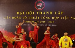 Cột mốc lịch sử của Liên đoàn Võ thuật tổng hợp Việt Nam
