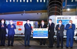 Hơn 233 triệu liều vaccine dự kiến sẽ được Việt Nam tiếp nhận, sử dụng