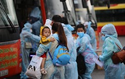 Quảng Ngãi đón 135 thai phụ, trẻ em về quê bằng ô tô