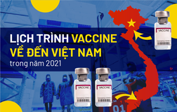  Tình hình nhập và tiêm vaccine ở Việt Nam đến đâu?