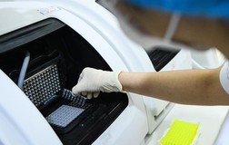 Thêm 233 bệnh nhân COVID-19 tử vong, cả nước 863 ca từ đầu dịch