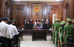 Đại gia Hứa Thị Phấn lại không hầu tòa 