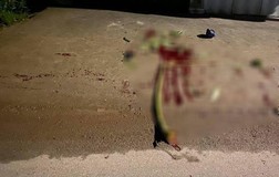  Hỗn chiến kinh hoàng ở Bình Dương khiến 5 người thương vong