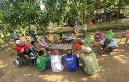 An Giang bắt quả tang 13 người trốn trong vườn xoài chơi tài xỉu