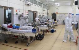 TP.HCM cần máy thở để sẵn sàng cho kịch bản 60.000 ca nhiễm COVID-19