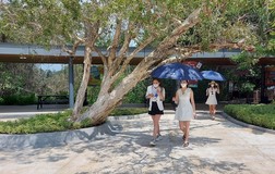 Ngành du lịch Bà Rịa- Vũng Tàu đón những du khách đầu tiên từ 15-10