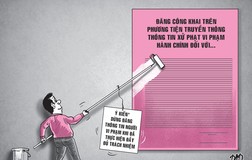 Bàn về thời hạn tối đa 'bêu tên' vi phạm hành chính