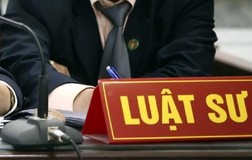 Đề nghị Bộ Tư pháp thu hồi chứng chỉ hành nghề 313 luật sư 