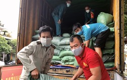 Hỗ trợ 20 tấn gạo cho Đà Nẵng và tỉnh Quảng Nam