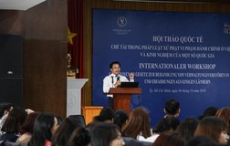 Mức xử phạt hành chính chưa đủ sức ngăn ngừa vi phạm