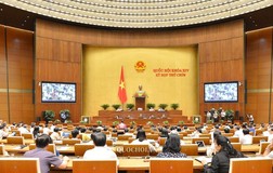 Quốc hội thảo luận nội dung gì trong tuần làm việc cuối cùng?