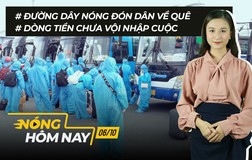 Nóng hôm nay: Đường dây nóng đón dân về quê; Xét nghiệm kháng thể SARS-CoV-2 