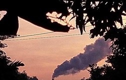 Công khai thông tin doanh nghiệp gây ô nhiễm môi trường