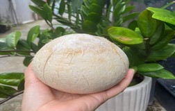 Uống nước dừa thời điểm nào là tốt nhất cho cơ thể?