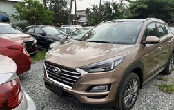 Chờ giảm lệ phí trước bạ, thị trường ô tô cũ 'đóng băng'