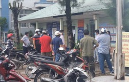 Chủ tịch phường nói về vụ phạt người đi cứu cá ở Cà Mau