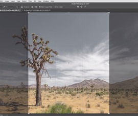 Adobe giới thiệu loạt hướng dẫn Photoshop cực đơn giản