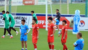 Vai trò VFF và áp lực nặng nề của ông Park