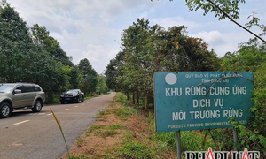 Bộ GTVT kiến nghị Thủ tướng không xây cầu Mã Đà nối Đồng Nai với Bình Phước