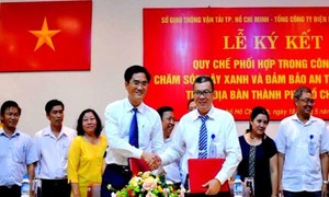 Lưới điện và cây xanh phải an toàn cho dân mùa mưa