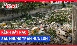 Video: Kênh đầy rác sau những trận mưa lớn